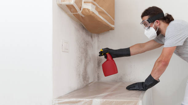 Professional Basement Mold Remediation technician working in Wood-Ridge, NJ