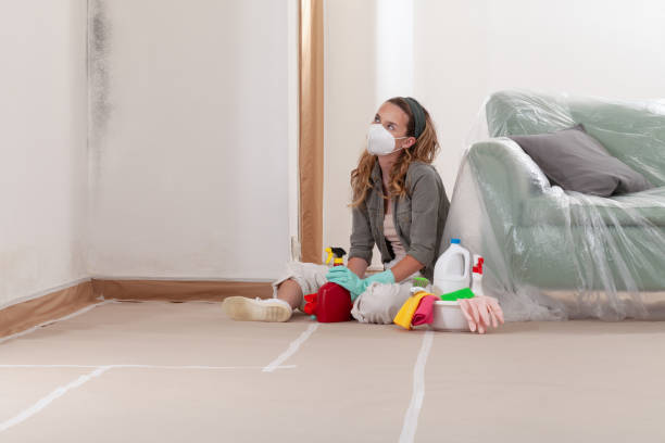Reliable Basement Mold Remediation contractor in Wood-Ridge, NJ by Mold Remediation HQ